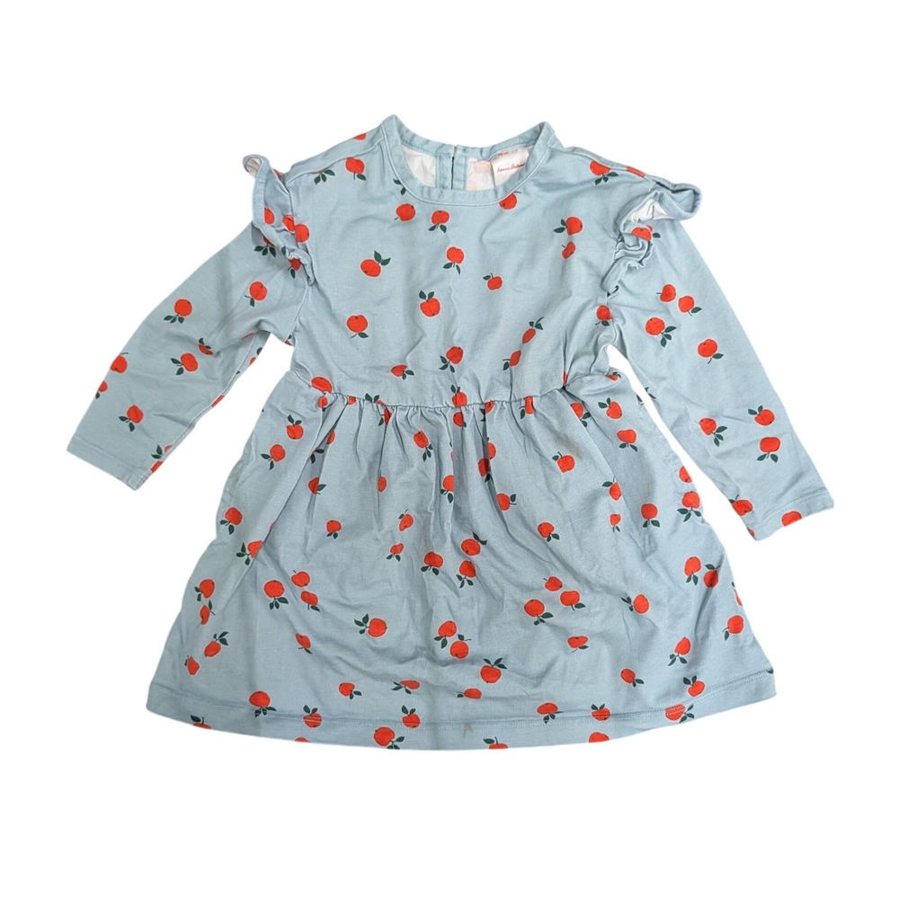 Hanna Andersson Girls Light Blue Apple Print Ruffle Long Sleeve Cotton Dress- 3T